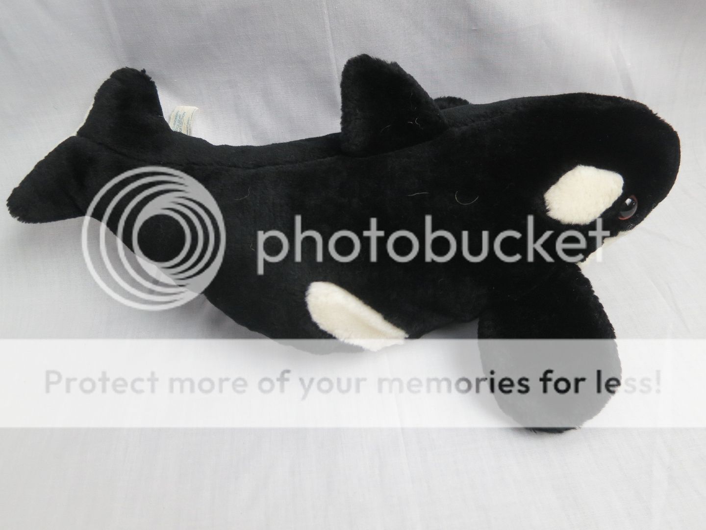 stuffed orca toy